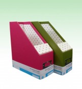 Customized Paper Folder Printing